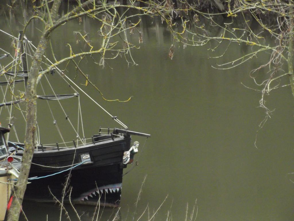 Firs Riverside B&B Ironbridge Buitenkant foto